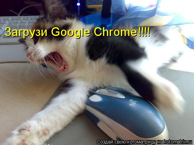 Котоматрица: Загрузи Google Chrome!!!!