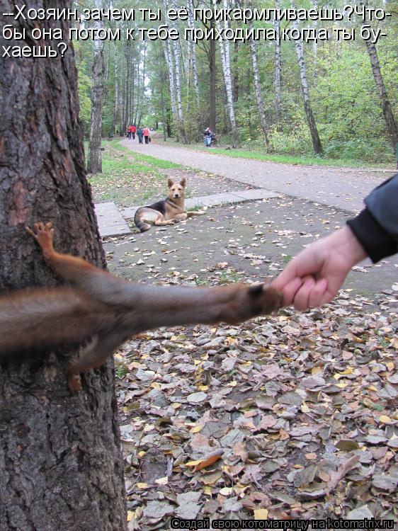 Котоматрица: --Хозяин,зачем ты её прикармливаешь?Что- бы она потом к тебе приходила,когда ты бу- хаешь?