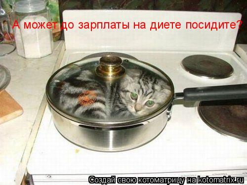 Котоматрица: А может до зарплаты на диете посидите? А может до зарплаты на диете посидите?
