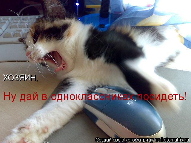 Котоматрица: ХОЗЯИН, Ну дай в одноклассниках посидеть!