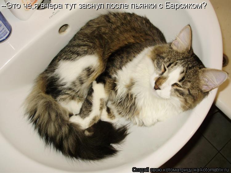 Котоматрица: --Это чё,я вчера тут заснул после пьянки с Барсиком?