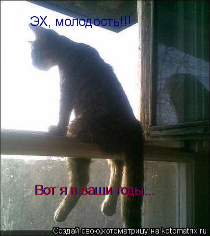 Котоматрица: ЭХ, молодость!!! Вот я в ваши годы... Вот я в ваши годы...