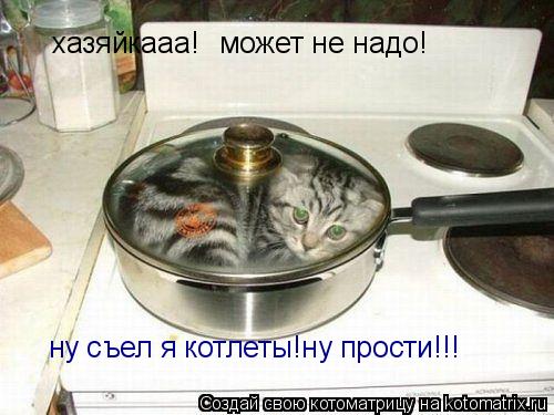 Котоматрица: хазяйкааа! может не надо! ну съел я котлеты!ну прости!!!