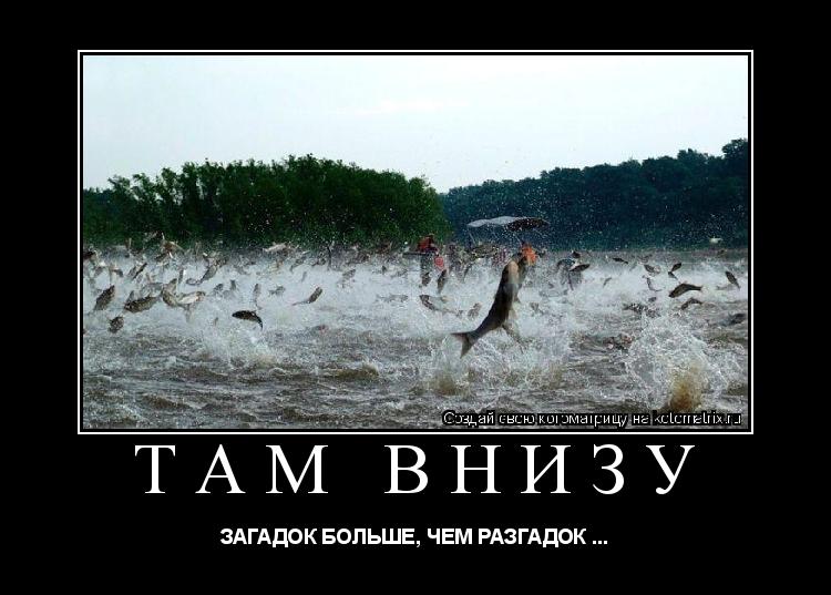 Котоматрица: ТАМ ВНИЗУ ЗАГАДОК БОЛЬШЕ, ЧЕМ РАЗГАДОК ...