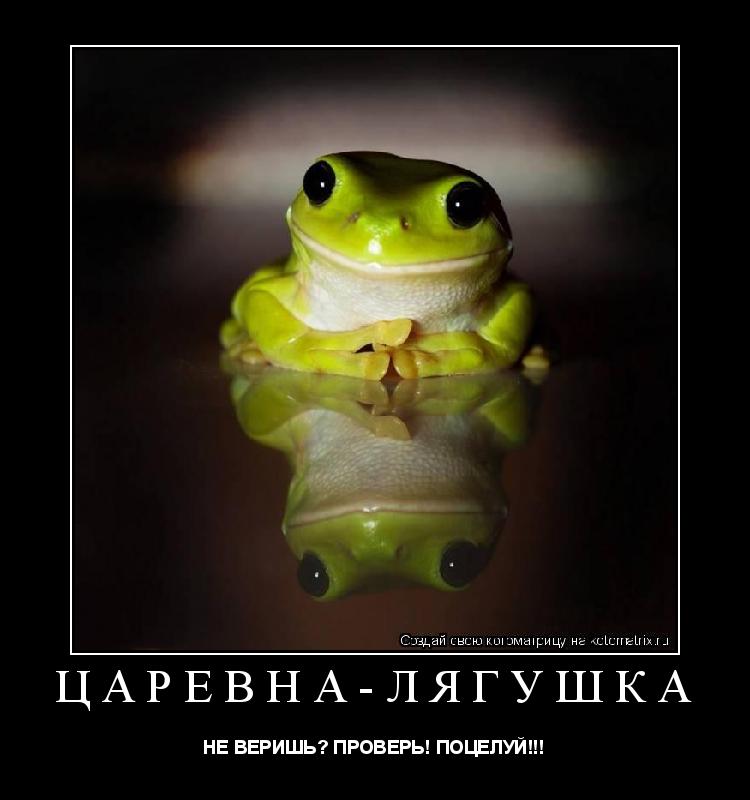 Котоматрица: ЦАРЕВНА-ЛЯГУШКА НЕ ВЕРИШЬ? ПРОВЕРЬ! ПОЦЕЛУЙ!!!