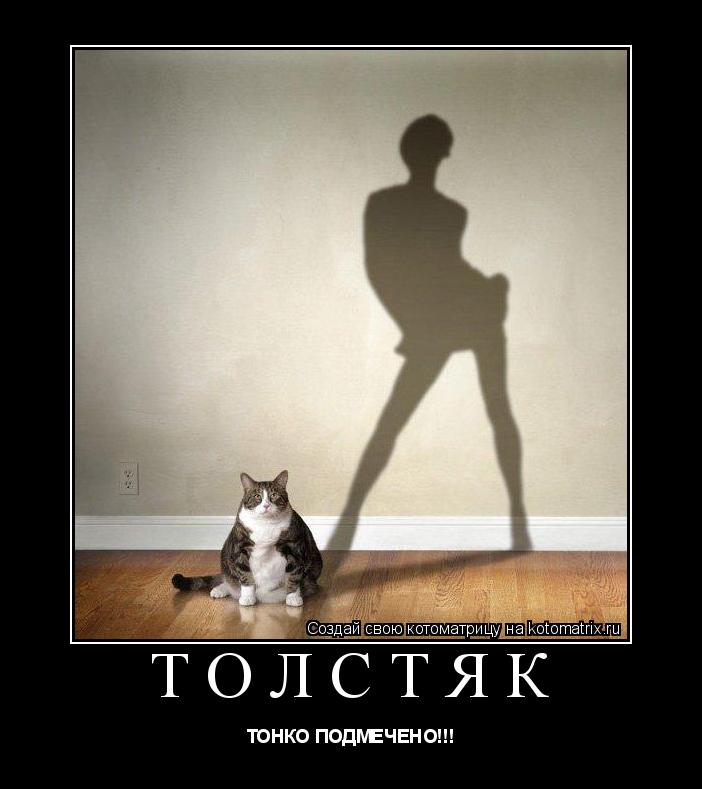 Котоматрица: ТОЛСТЯК ТОНКО ПОДМЕЧЕНО!!!