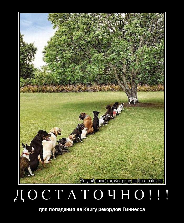 Котоматрица: ДОСТАТОЧНО!!! для попадания на Книгу рекордов Гиннесса