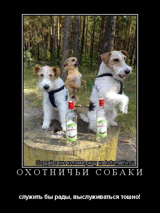 Охотничьи собаки служить бы рады, выслуживаться тошно!... Котоматрица: Охотничьи собаки служить бы рады, выслуживаться тошно!