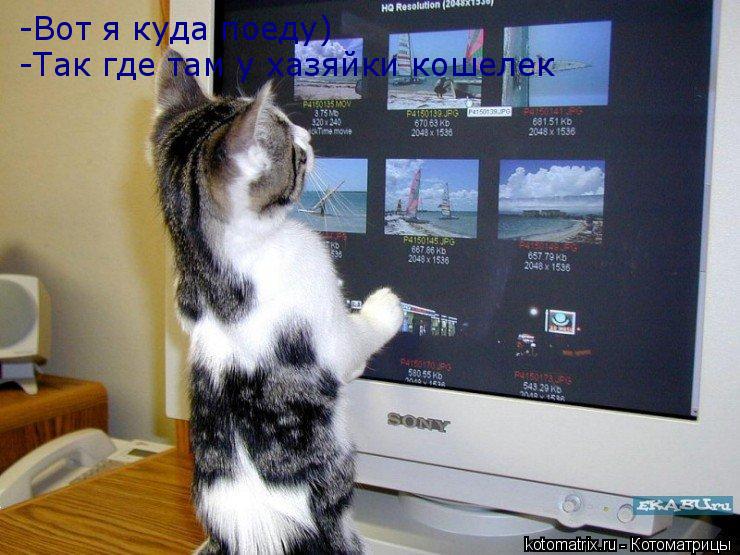 Котоматрица: -Вот я куда поеду) -Так где там у хазяйки кошелек