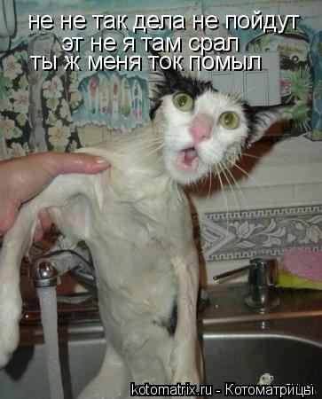 Котоматрица: не не так дела не пойдут не не так дела не пойдут эт не я там срал эт не я там срал ты ж меня ток помыл