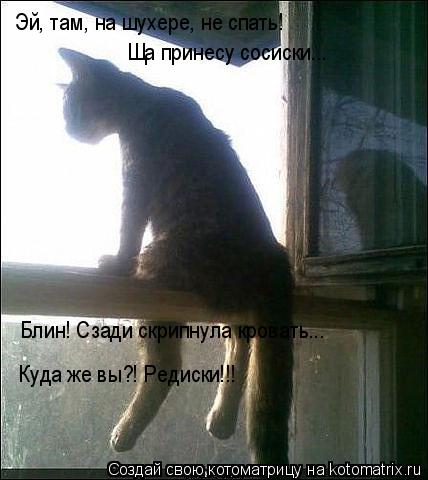 Котоматрица: Эй, там, на шухере, не спать! Ща принесу сосиски... Блин! Сзади скрипнула кровать... Куда же вы?! Редиски!!!