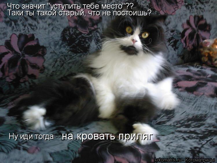 Котоматрица: Что значит "уступить тебе место"?? Таки ты такой старый, что не постоишь? Ну иди тогда  на кровать приляг
