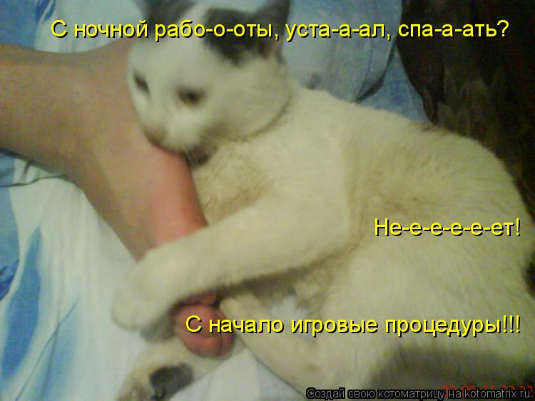 Котоматрица: Не-е-е-е-е-ет!  С начало игровые процедуры!!! С ночной рабо-о-оты, уста-а-ал, спа-а-ать?