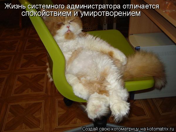 Котоматрица: Жизнь системного администратора отличается  спокойствием и умиротворением