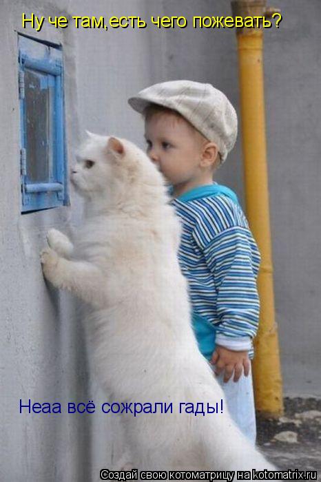 Котоматрица: Ну че там,есть чего пожевать? Ну че там,есть чего пожевать? Неаа всё сожрали гады!