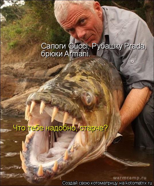 Котоматрица: Что тебе надобно, старче? Сапоги Gucci, Рубашку Prada, брюки Armani.
