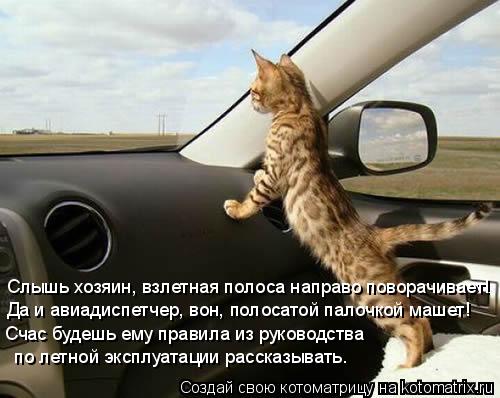 Котоматрица: Слышь хозяин, взлетная полоса направо поворачивает! Да и авиадиспетчер, вон, полосатой палочкой машет! Счас будешь ему правила из руководст