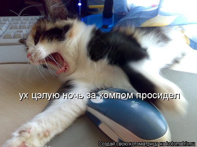 Котоматрица: ух цэлую ночь за компом просидел
