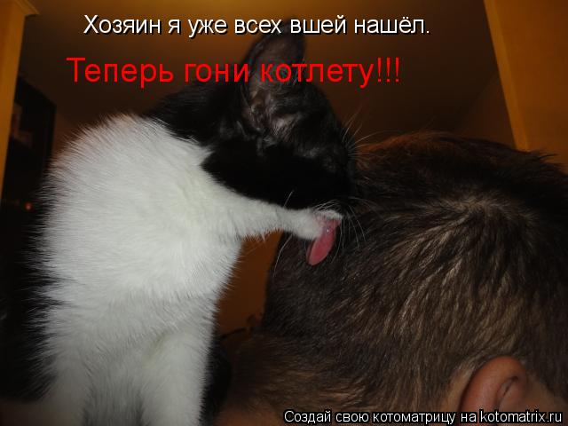 Котоматрица: Хозяин я уже всех вшей нашёл. Теперь гони котлету!!!
