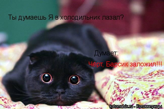Ты думаешь Я в холодильник лазал? Думает: Чёрт, Барсик заложил!!!... Котоматрица: Ты думаешь Я в холодильник лазал? Думает: Чёрт, Барсик заложил!!!