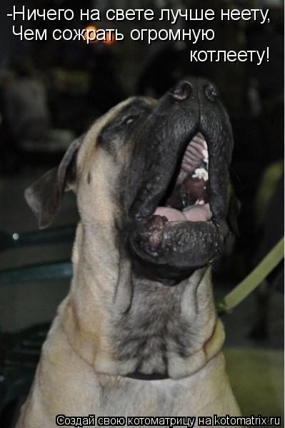 -Ничего на свете лучше неету, Чем сожрать огромную котлеету!... Котоматрица: -Ничего на свете лучше неету, Чем сожрать огромную котлеету!