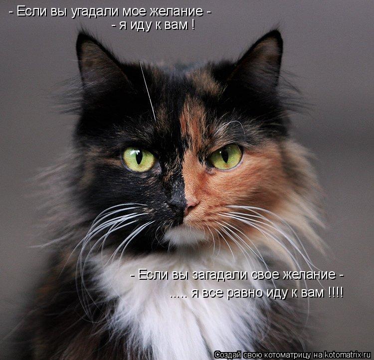 - Если вы угадали мое желание - - я иду к вам ! - Если вы загадали свое желание - ..... я все равно и... Котоматрица: - Если вы угадали мое желание - - я иду к вам ! - Если вы загадали свое желание - ..... я все равно иду к вам !!!!