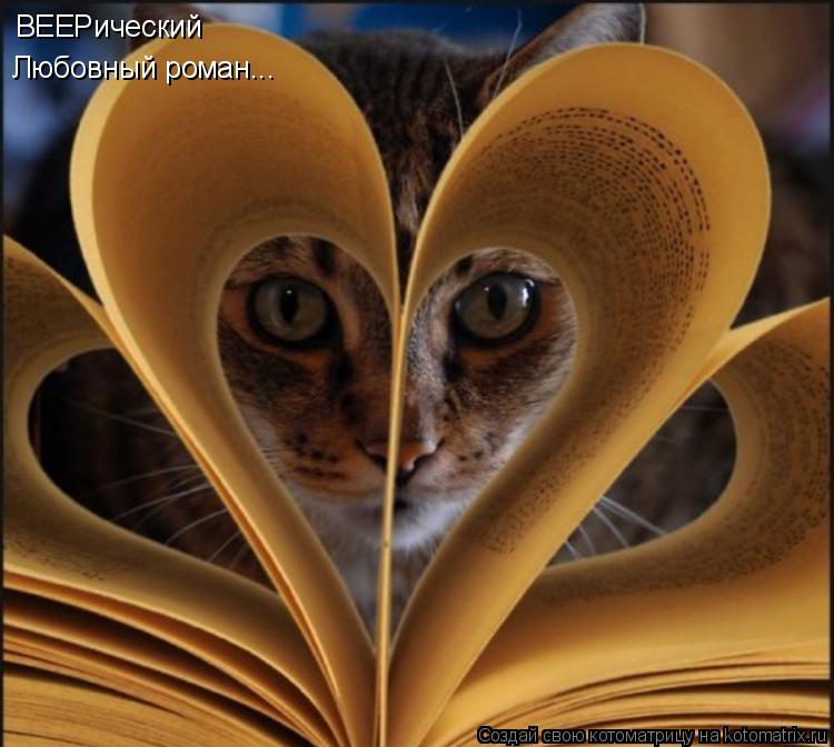 ВЕЕРический Любовный роман...... Котоматрица: ВЕЕРический Любовный роман...