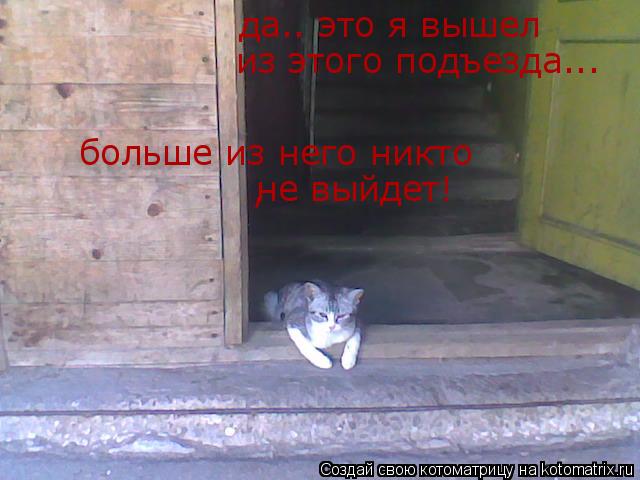 да.. это я вышел из этого подъезда... больше из него никто не выйдет! ,... Котоматрица: да.. это я вышел из этого подъезда... больше из него никто не выйдет! ,