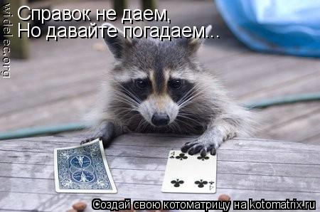 Справок не даем, Но давайте погадаем...... Котоматрица: Справок не даем, Но давайте погадаем...