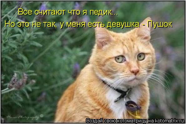 Все считают что я педик... Но это не так, у меня есть девушка - Пушок... Котоматрица: Все считают что я педик... Но это не так, у меня есть девушка - Пушок