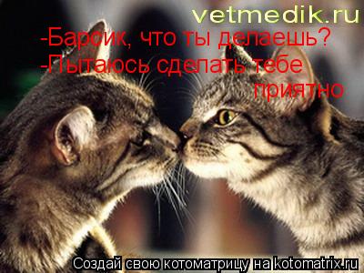 -Барсик, что ты делаешь? -Пытаюсь сделать тебе приятно... Котоматрица: -Барсик, что ты делаешь? -Пытаюсь сделать тебе приятно