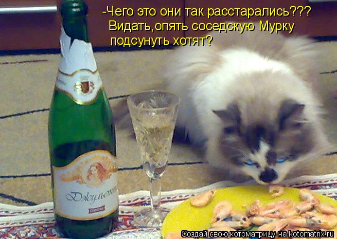 Котоматрица: -Чего это они так расстарались??? Видать,опять соседскую Мурку подсунуть хотят?
