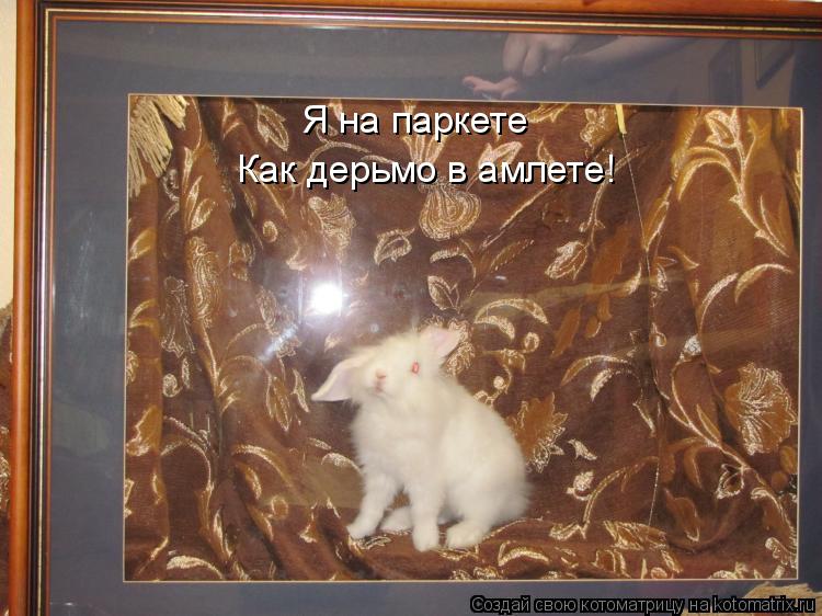 Я на паркете Я на паркет Как дерьмо в амлете!... Котоматрица: Я на паркете Я на паркет Как дерьмо в амлете!