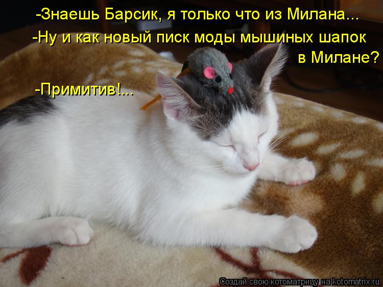 -Знаешь Барсик, я только что из Милана... -Ну и как новый писк моды мышиных шапок в Милане? -Примити... Котоматрица: -Знаешь Барсик, я только что из Милана... -Ну и как новый писк моды мышиных шапок в Милане? -Примитив!...