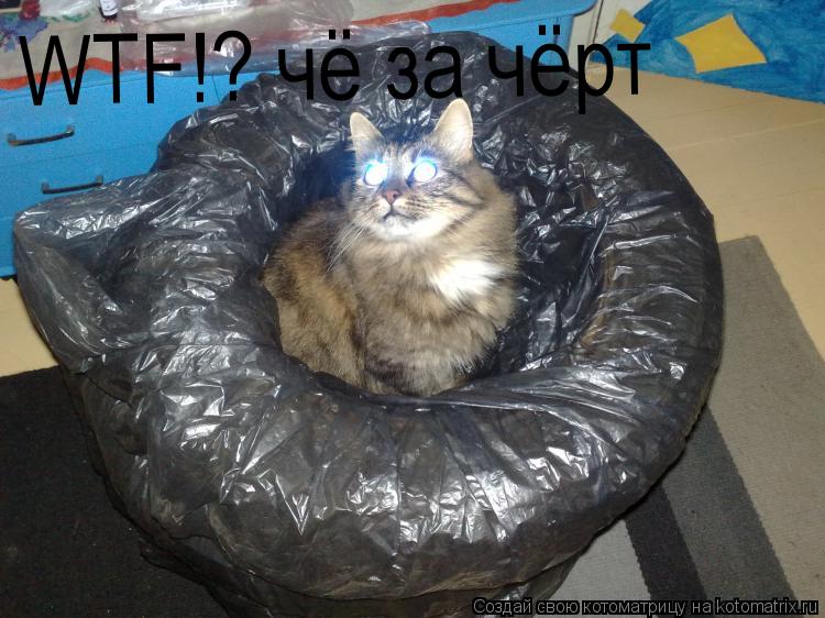WTF!? чё за чёрт... Котоматрица: WTF!? чё за чёрт