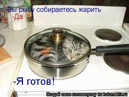 Котоматрица: -Вы рыбу собираетесь жарить -Да -Я готов!