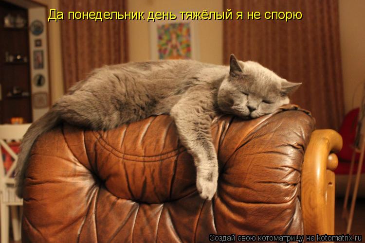 Котоматрица: Да понедельник день тяжёлый я не спорю