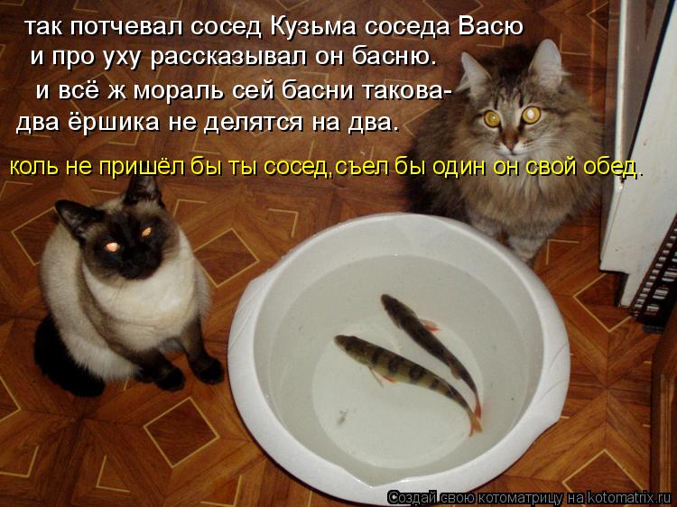 Котоматрица: так потчевал сосед Кузьма соседа Васю и про уху рассказывал он басню.   и всё ж мораль сей басни такова- два ёршика не делятся на два. коль не 