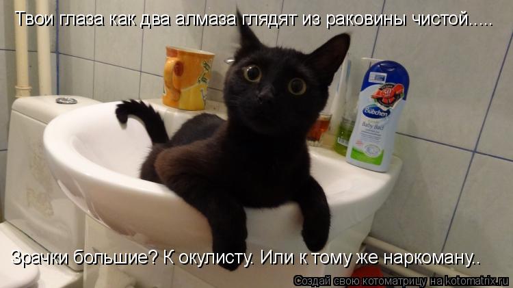 Котоматрица: Твои глаза как два алмаза глядят из раковины чистой.... Твои глаза как два алмаза глядят из раковины чистой....Зрачки большие? К окулисту. Или 