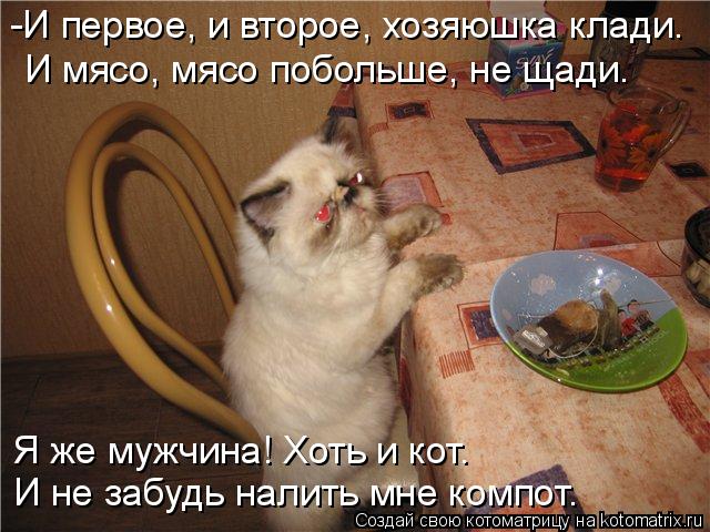 Котоматрица: -И первое, и второе, хозяюшка клади. И мясо, мясо побольше, не щади. Я же мужчина! Хоть и кот. И не забудь налить мне компот.