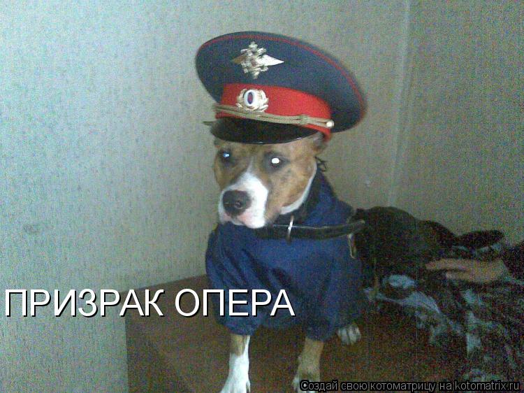 Котоматрица: ПРИЗРАК ОПЕРА