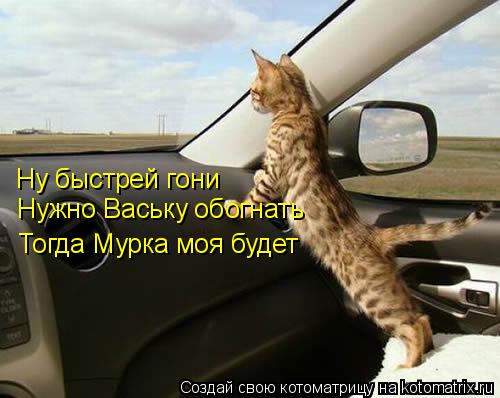 Котоматрица: Ну быстрей гони Нужно Ваську обогнать  Тогда Мурка моя будет