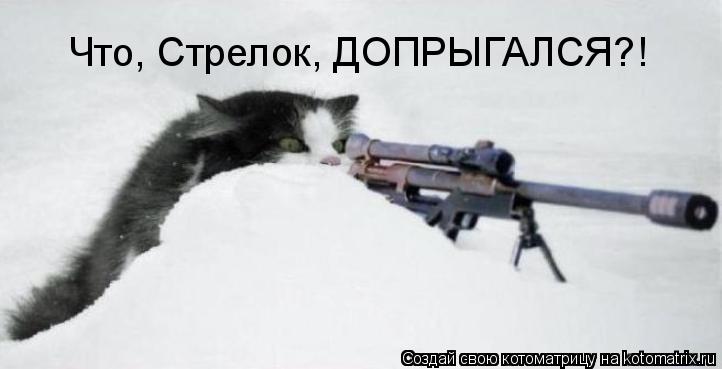 Котоматрица: Что, Стрелок, ДОПРЫГАЛСЯ?!