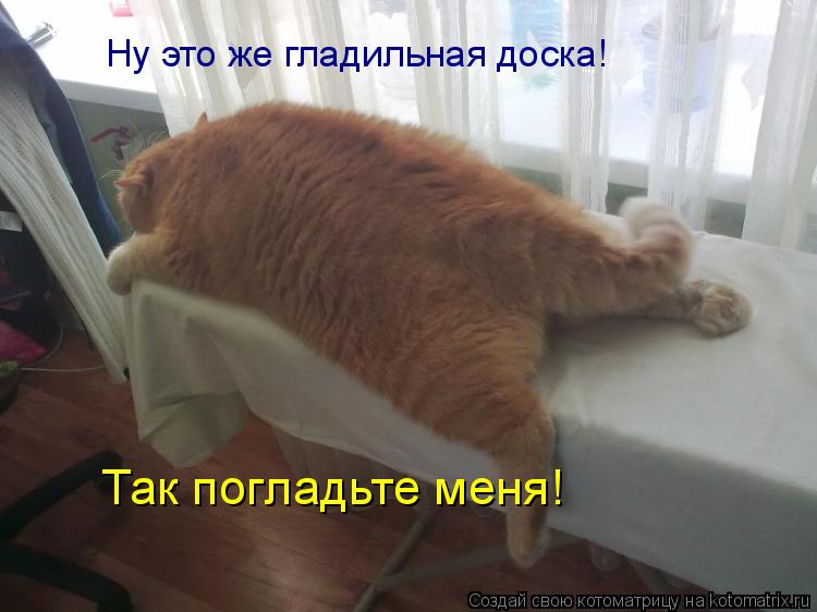 Котоматрица: Ну это же гладильная доска! Так погладьте меня!