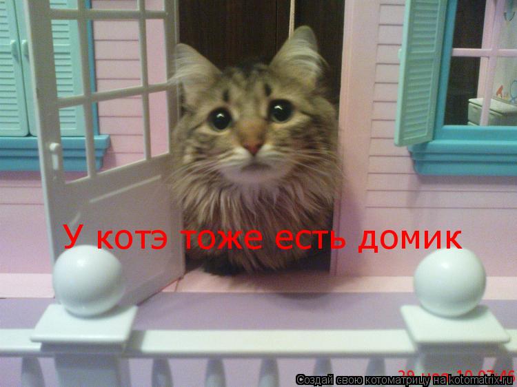 Котоматрица: У котэ тоже есть домик