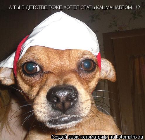 Котоматрица: А ТЫ В ДЕТСТВЕ ТОЖЕ ХОТЕЛ СТАТЬ КАЦМАНАВТОМ...!?
