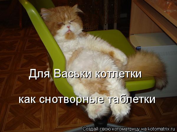 Для Васьки котлетки как снотворные таблетки... Котоматрица: Для Васьки котлетки как снотворные таблетки