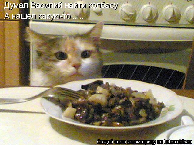 Котоматрица: Думал Василий найти колбасу А нашел какую-то .......