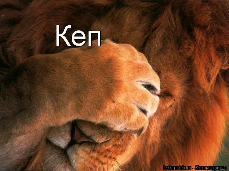 Котоматрица: Кеп