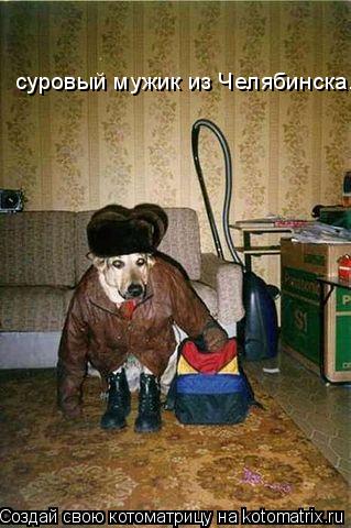 Котоматрица: суровый мужик из Челябинска....